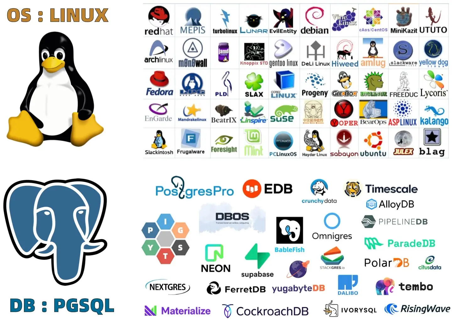 kernel-distro.webp